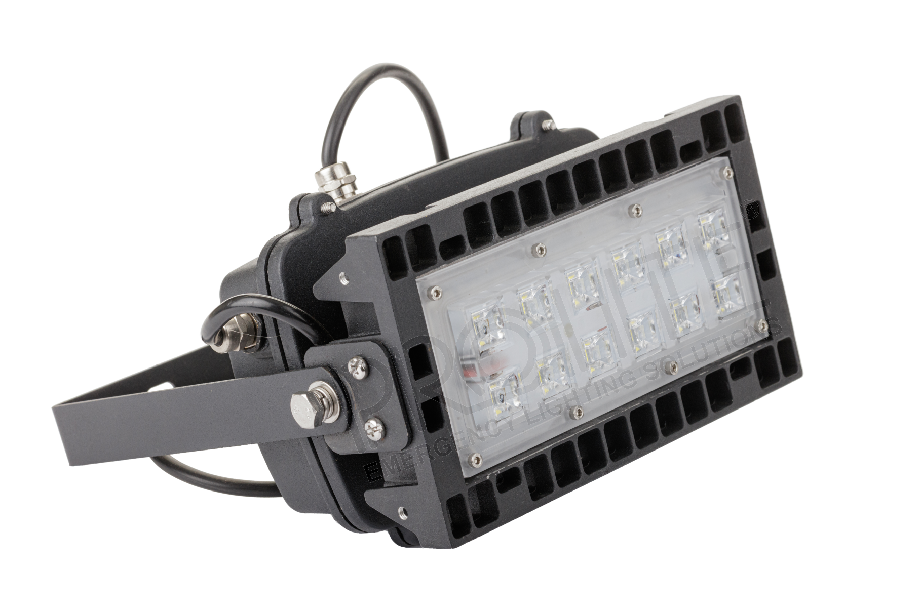 Evacuation Flood Light